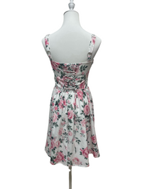 Blushing Rose Lace Mini Dress